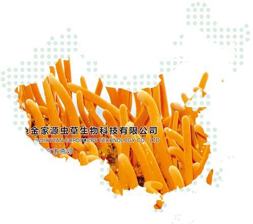 焦作市金易陽(yáng)機(jī)械有限公司